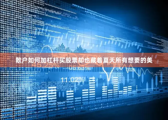 散户如何加杠杆买股票却也藏着夏天所有想要的美
