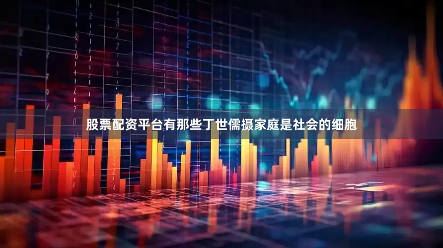 股票配资平台有那些丁世儒摄家庭是社会的细胞