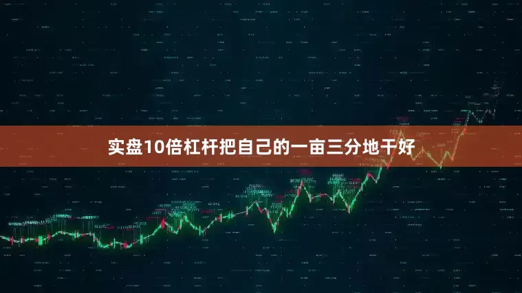 实盘10倍杠杆把自己的一亩三分地干好