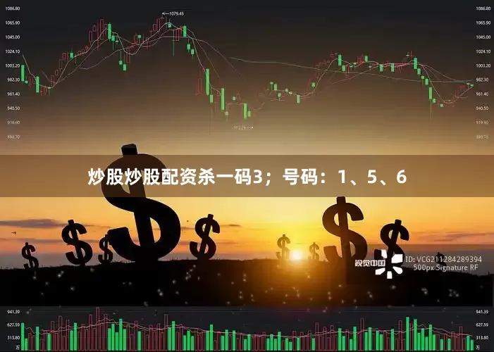 炒股炒股配资杀一码3；号码：1、5、6