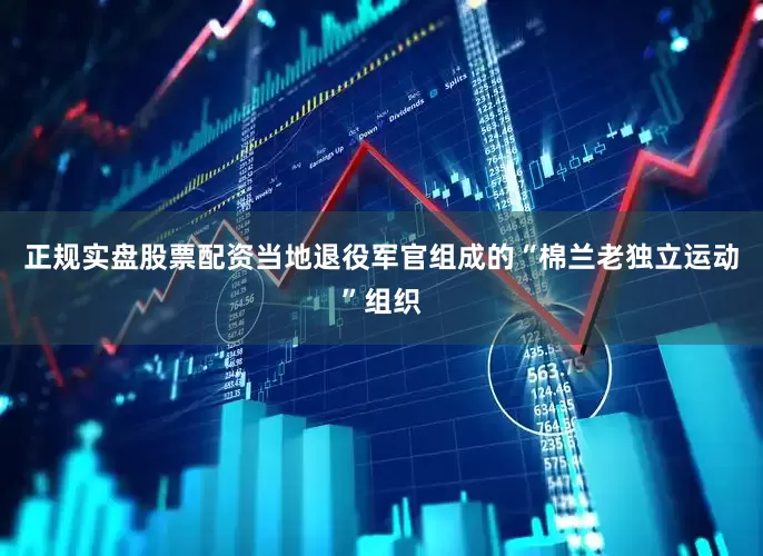 正规实盘股票配资当地退役军官组成的“棉兰老独立运动”组织